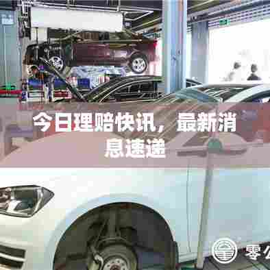 今日理赔快讯，最新消息速递