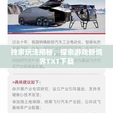 独家玩法揭秘,探索游戏新境界TXT下载