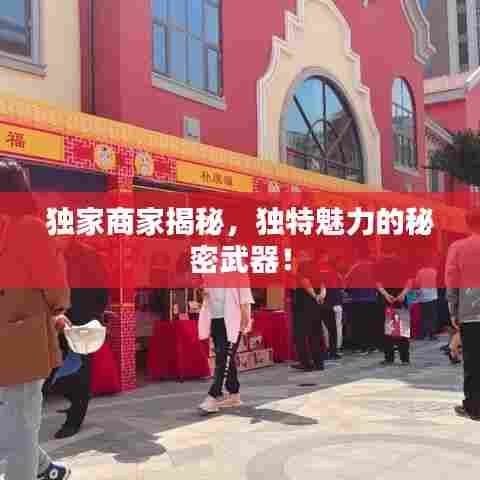 独家商家揭秘,独特魅力的秘密武器!