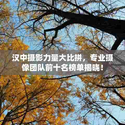 汉中摄影力量大比拼，专业摄像团队前十名榜单揭晓！