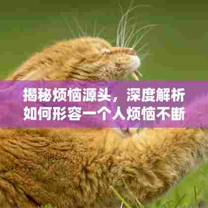 揭秘烦恼源头,深度解析如何形容一个人烦恼不断