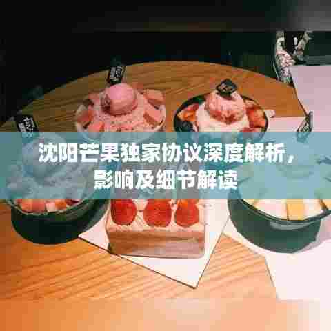 沈阳芒果独家协议深度解析,影响及细节解读