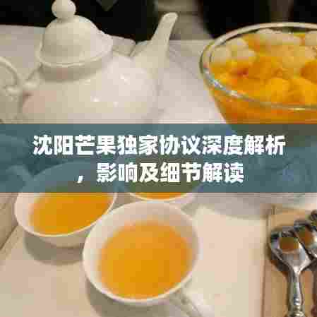 沈阳芒果独家协议深度解析,影响及细节解读