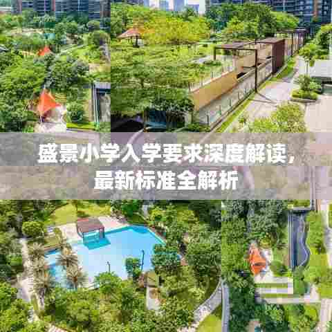 盛景小学入学要求深度解读,最新标准全解析