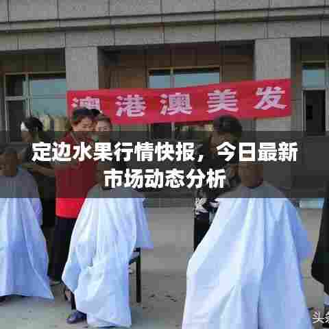 定边水果行情快报,今日最新市场动态分析