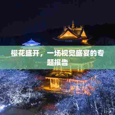 樱花盛开，一场视觉盛宴的专题报告