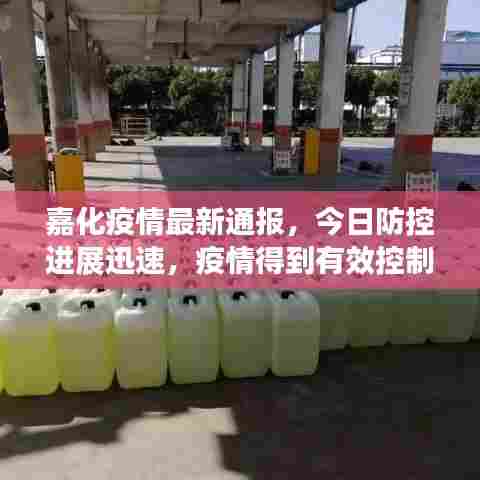 嘉化疫情最新通报，今日防控进展迅速，疫情得到有效控制