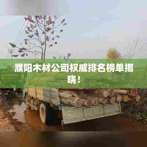 濮阳木材公司权威排名榜单揭晓！