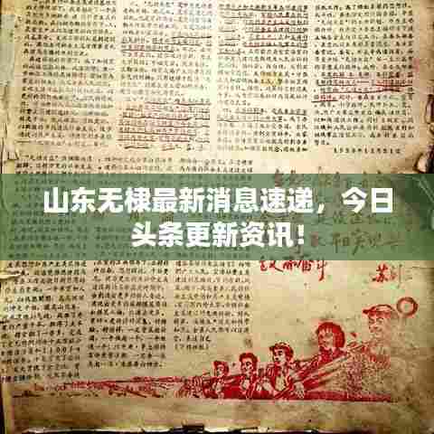 山东无棣最新消息速递，今日头条更新资讯！