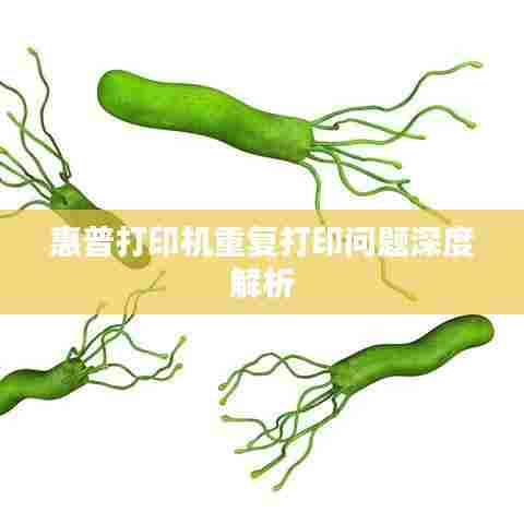 惠普打印机重复打印问题深度解析
