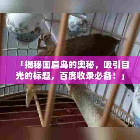 「揭秘画眉鸟的奥秘，吸引目光的标题，百度收录必备！」