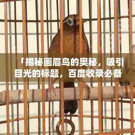 「揭秘画眉鸟的奥秘,吸引目光的标题,百度收录必备!」