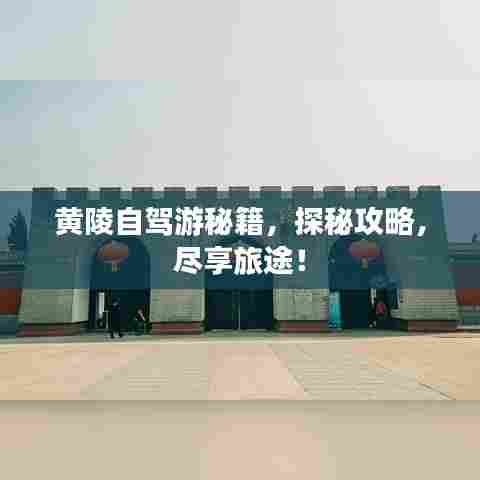 黄陵自驾游秘籍,探秘攻略,尽享旅途!