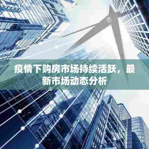 疫情下购房市场持续活跃，最新市场动态分析
