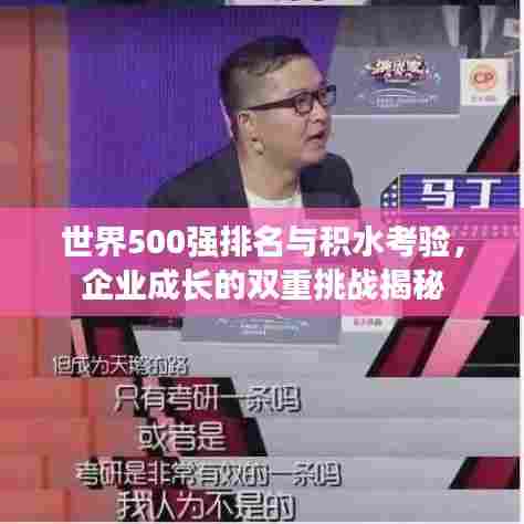 世界500强排名与积水考验，企业成长的双重挑战揭秘