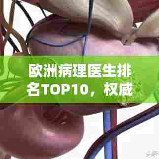 欧洲病理医生排名TOP10，权威榜单揭秘顶尖专家！