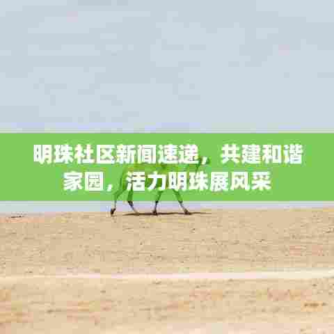 明珠社区新闻速递，共建和谐家园，活力明珠展风采