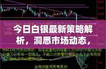 今日白银最新策略解析，洞悉市场动态，掌握投资机会，助你投资成功！