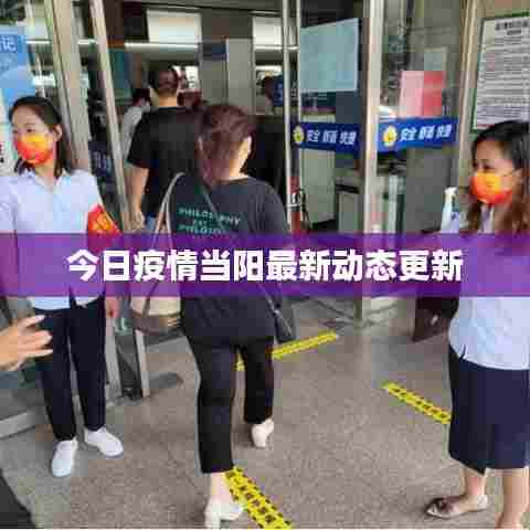 今日疫情当阳最新动态更新