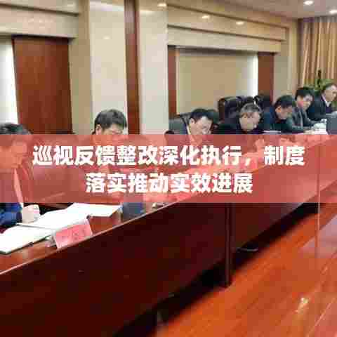 巡视反馈整改深化执行，制度落实推动实效进展