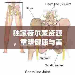 独家荷尔蒙资源，重塑健康与美丽的秘密法宝