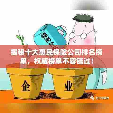揭秘十大惠民保险公司排名榜单，权威榜单不容错过！