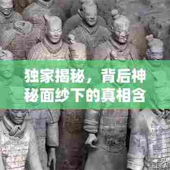 独家揭秘，背后神秘面纱下的真相含义