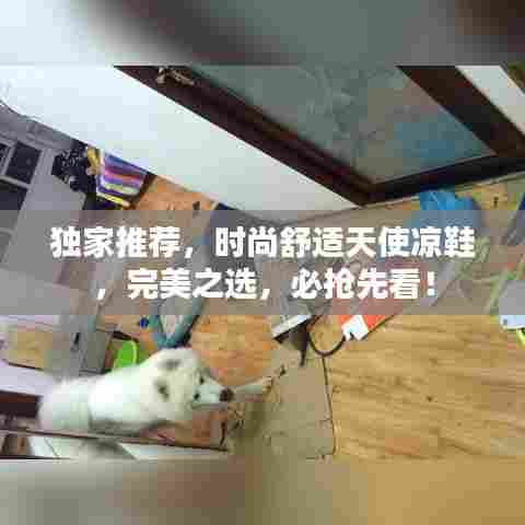 放浪形骸 第6页