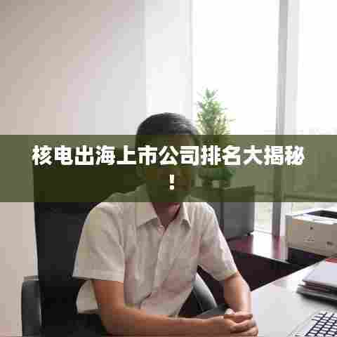 核电出海上市公司排名大揭秘！