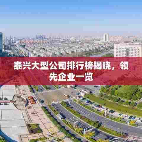 泰兴大型公司排行榜揭晓，领先企业一览