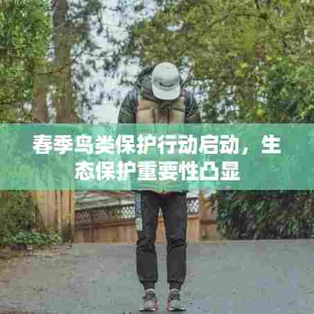 春季鸟类保护行动启动，生态保护重要性凸显