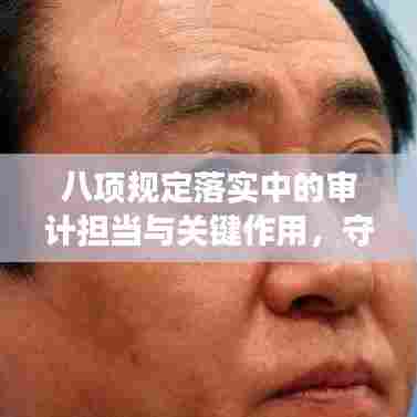 八项规定落实中的审计担当与关键作用，守护合规的守门人角色