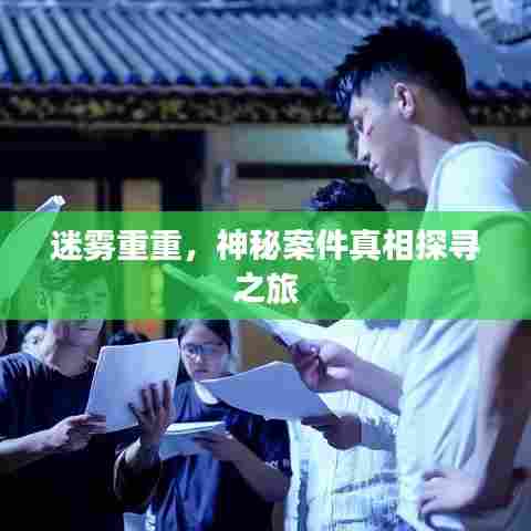 迷雾重重，神秘案件真相探寻之旅