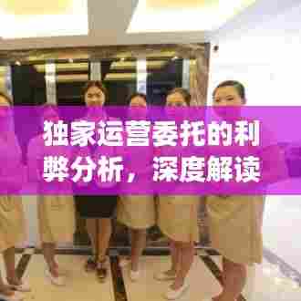 独家运营委托的利弊分析，深度解读委托运营模式的优势与挑战