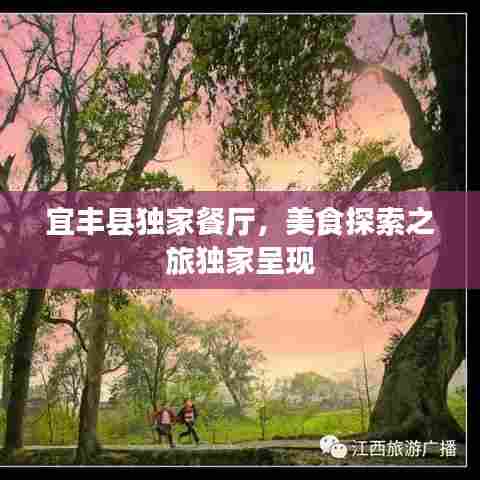 宜丰县独家餐厅，美食探索之旅独家呈现
