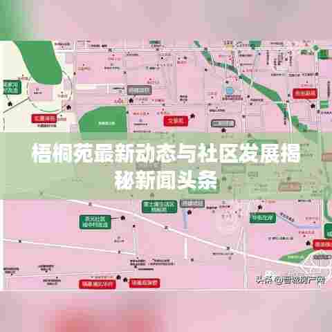 梧桐苑最新动态与社区发展揭秘新闻头条