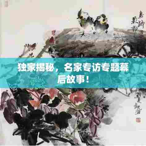 独家揭秘，名家专访专题幕后故事！