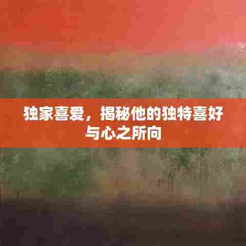 独家喜爱，揭秘他的独特喜好与心之所向