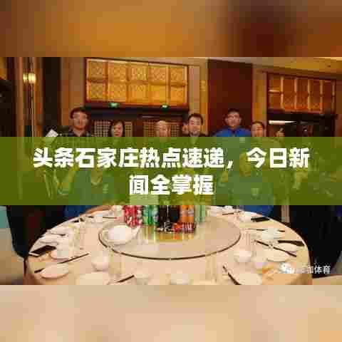 头条石家庄热点速递，今日新闻全掌握