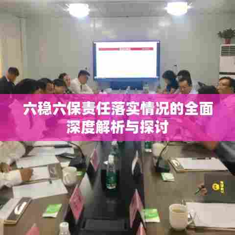 六稳六保责任落实情况的全面深度解析与探讨
