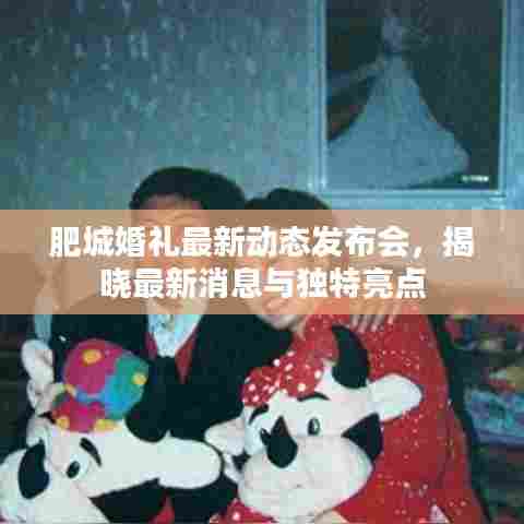 肥城婚礼最新动态发布会，揭晓最新消息与独特亮点