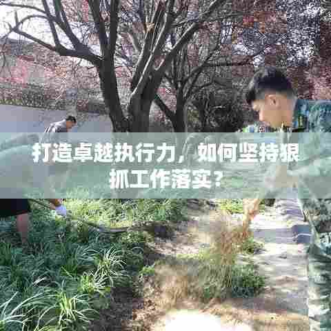 打造卓越执行力，如何坚持狠抓工作落实？