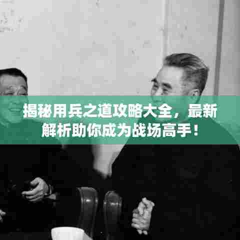 揭秘用兵之道攻略大全，最新解析助你成为战场高手！