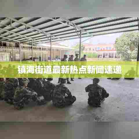 镇海街道最新热点新闻速递