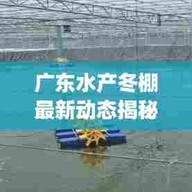 广东水产冬棚最新动态揭秘，行业新趋势视频展现