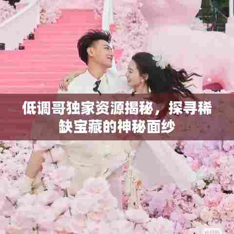 低调哥独家资源揭秘，探寻稀缺宝藏的神秘面纱