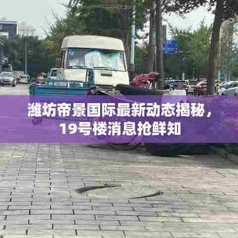 潍坊帝景国际最新动态揭秘，19号楼消息抢鲜知