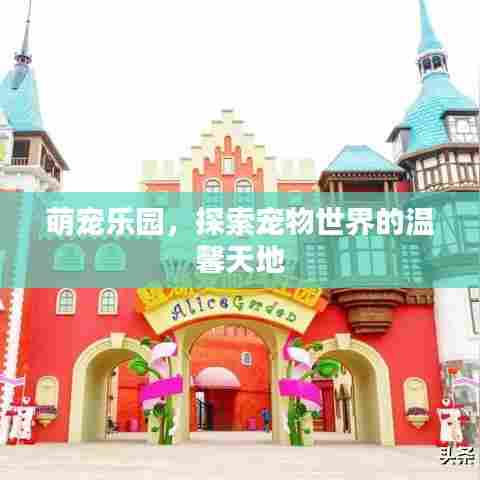 萌宠乐园，探索宠物世界的温馨天地