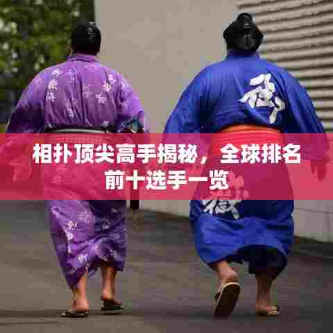 相扑顶尖高手揭秘，全球排名前十选手一览
