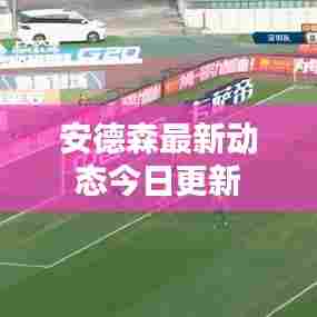 安德森最新动态今日更新